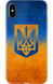 Чохол Герб на Патріотичних кольорах для iPhone 32533 фото 1