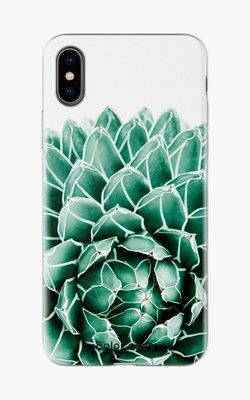 Чохол для iPhone Ніжна суккулента 26557 фото